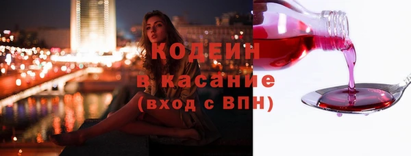индика Покров