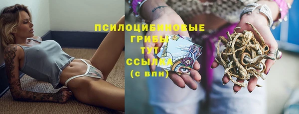 ешки Арсеньев