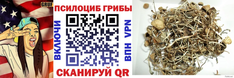 Галлюциногенные грибы GOLDEN TEACHER  Лобня 